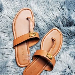 Coach Jessie Buckle Thong Sandals